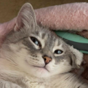 avatar Deleted User d0377b8c