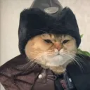 barnabaspepka avatar