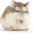 avatar BubbleNugget223