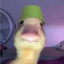 nnocck