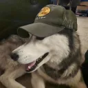lilcoyotej.