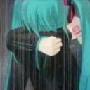 avatar کاش ندیده بودمت