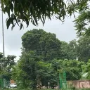ig_rajput_00