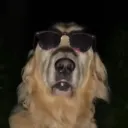 tapshift