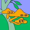 hiya_hyphae