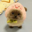 puddinglicious