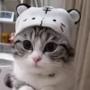 mqzwqx