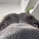 90mateoolievra avatar