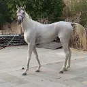 k9.u