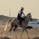 k9.u