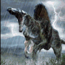 avatar ⋆⋅☆⋅⋆Yomers⋆⋅☆⋅⋆