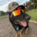 charliedoestuff