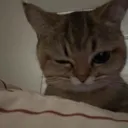 gaganalk