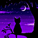 avatar ! MrLord_Gツ