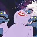 poshvanity