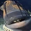 randomgamer7765 avatar