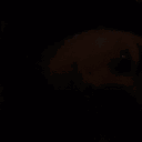 avatar amoxs