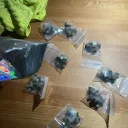 _non_scale_