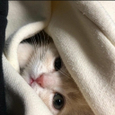 avatar .------..---.-.-.