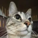 gilplays12