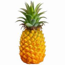 Mr_Pineapple