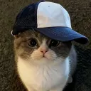 miklif