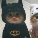 avatar im a kitty cat