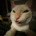 peuwv