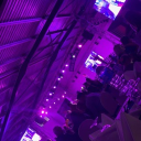 avatar 𝑀𝑒𝓁𝑜𝓃⋆ ˚｡⋆୨୧˚