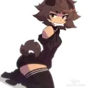 dumbstupiddog