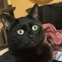 mrknowknow