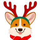 burntcorgi avatar