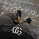 Discord Avatar