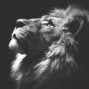 gabrieldiaz2k-No clavar visto ja