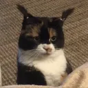 milobby