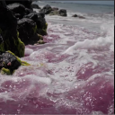 avatar PrimeABAPrince