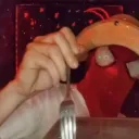 roblox_20178