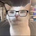 zenobluh avatar