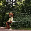 kararasenok_gd