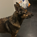 avatar Storm (Smooth Operator)