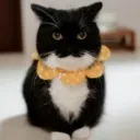 ilikebugs1234 avatar