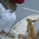 dankpartydolan834's Avatar