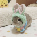 avatar ᶻ 𝗓 𐰁