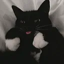 killer_0505