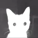 3y3_3y3