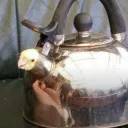 m48patton_2005 avatar