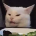 magical_puppy_69511 avatar