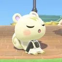 avapuppy