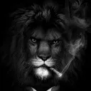 k4_kingcaide