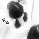 kamipy